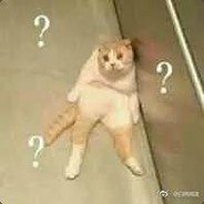 FOX狐狐狐（退即卡