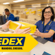 SEDEX