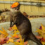 Autumnal Otter