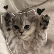 1234 - steam id 76561199635464679