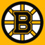 #1 Boston Fan