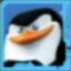 Skipper
