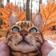 电脑玩家张培生