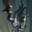 Suit_up!!!!_its lior