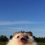 кosmos