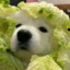 阿霖