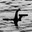 Glockness Monster