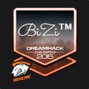 BiZi™