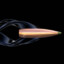 BuLLeT.007