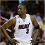 &#039;08-09 Dwyane Wade
