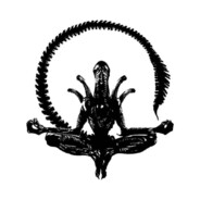 alfonsoamiguel avatar