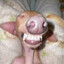 Gergo