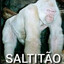 Levando_a_Serio XD