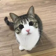 快出对子对死他