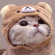 鱼鸭鱼吖鱼
