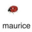 Maurice