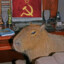 Comrade Capy