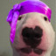 Joeseph Mother