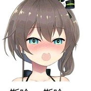 fbk fbk fbk 斯哈 斯哈