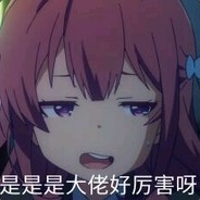 青春猪头USEC不会梦到满