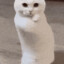 ˚♛˚𝓔𝓶𝔂˚♡˚