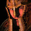 TheHapor