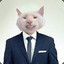 cat in a suit
