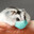 Hamster Virus