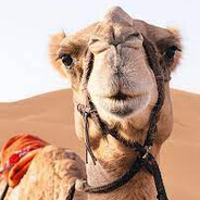 kamel very beautiful