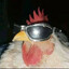 kennyeN
