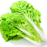 我是菜逼（新手）