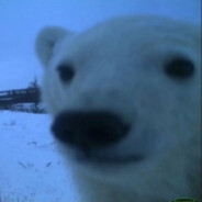 DeffJi - steam id 76561198375794569