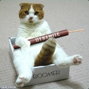 Kittyboomer