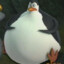 Shipher