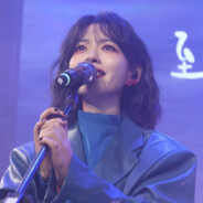 我的野百合开了吗