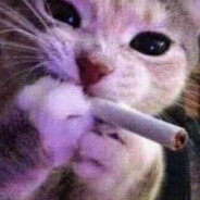 люблю какать