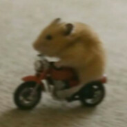 Крыса я короче