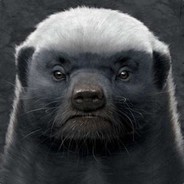 今天我杰尼龟就让你知道，谁的头更硬