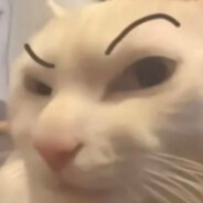 浓愁今夜未到乡