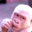 Macaco Albino #Nadegas