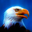 BaldEagle