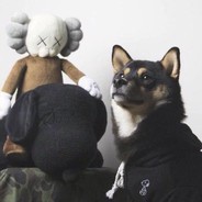 热水治不了百病