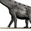 Argentinosaurus