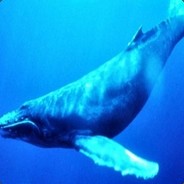 BALEIA AZUL