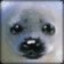 Baby Animal Small Cute Adorable