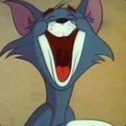 Mèo Tôm
