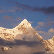 爱跑步的皮皮鲨