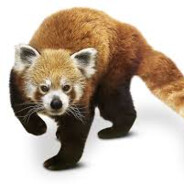 Röpanda