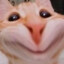 Hami