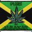 Jamaican Neega
